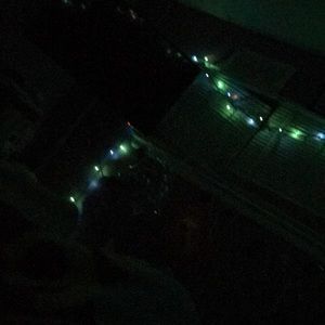 Meet your Posher, Abigail